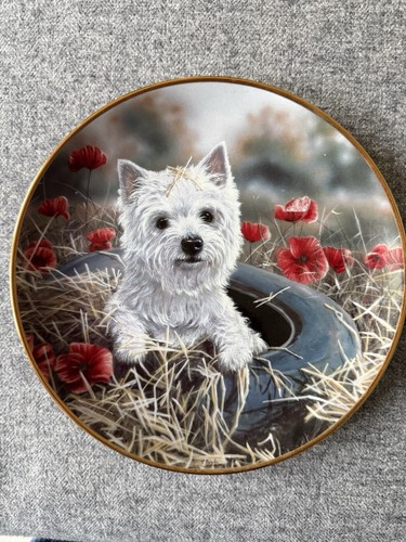 Danbury mint tyred - danbury,