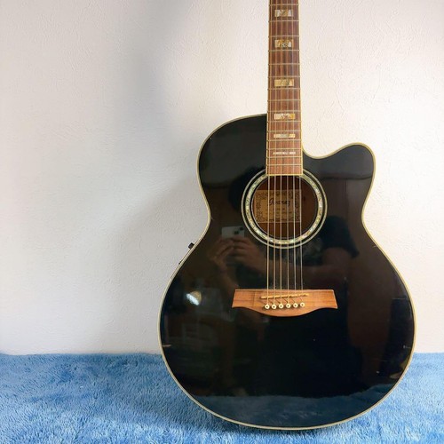 Ibanez ael30se electric - ibanez, ael30se-bk