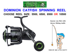 MADCAT DOMINION CATFISH