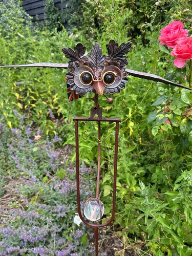 Flying rocking balancing - balancing, wise