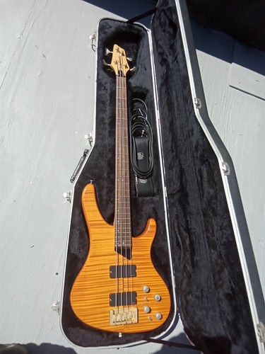 Washburn 800 bantam - washburn, xb-800