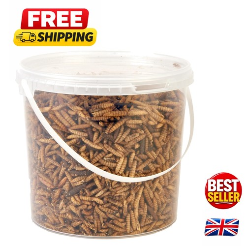Calci worms ideal - ,