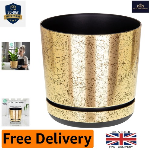 Gorgeous 26cm old - gorgeous, gold