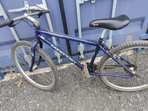 Mercury junior mountain bike - junior,