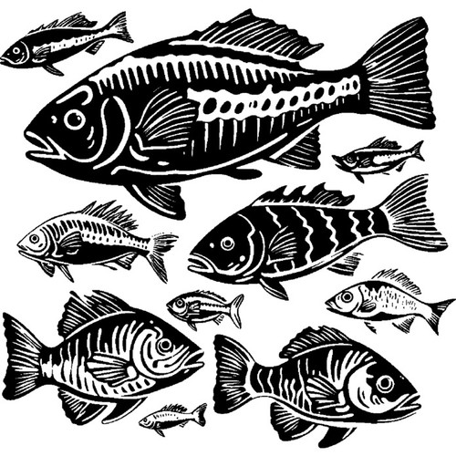 School fish unmounted - 'school, fish'