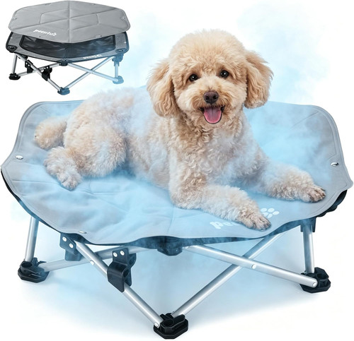 Dog cooling mat - dog, on