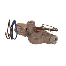 Cannon CHICHESTER Flame