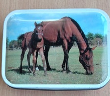 Vintage Sweet Tin. Blue Bird Confectionary.