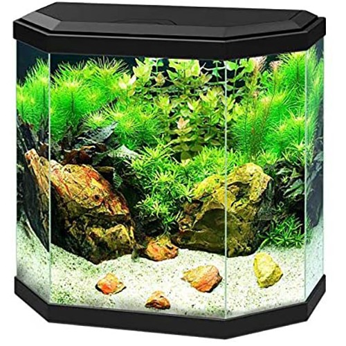 Ciano aqua aquarium led - ciano,