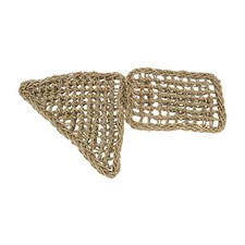 ­Reptile Lizard Bearded