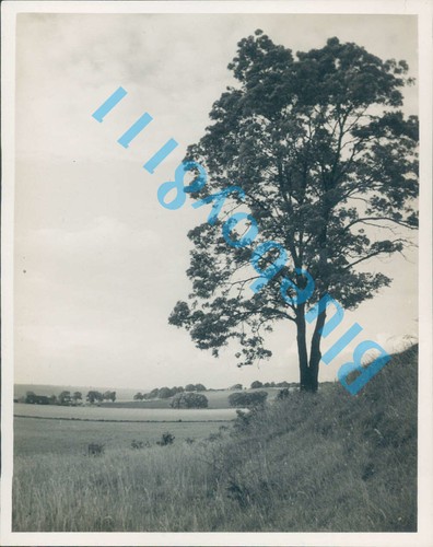 Farmland luton bedfordshire - luton,