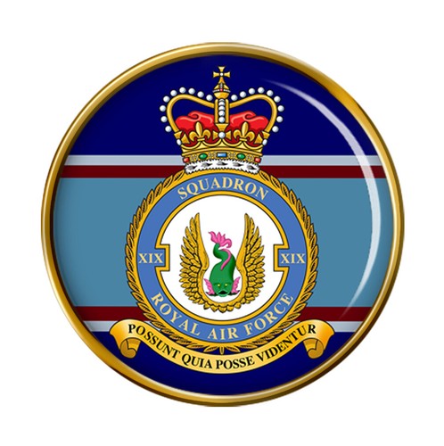 Squadron raf pin badge - 19, squadron,