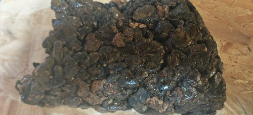 Fresh raw bee propolis 2026 - propolis,