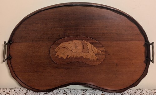 1880 english mahogany - 1880, shell