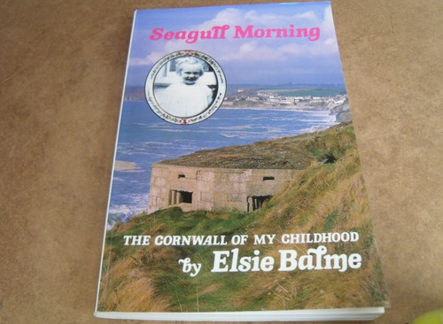 Seagull morning elsie - morning,