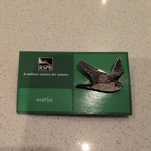 Rspb merlin pin badge - merlin, a