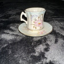 Royal Worcester Spode Palissy Tea Cup And Saucer Set 