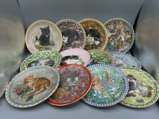 Aynsley Meet My Kittens 12