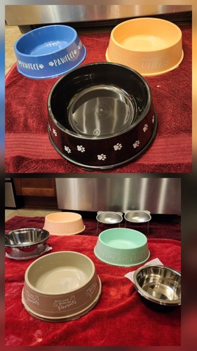 Pet feeding bowls set - feeding, bowls.