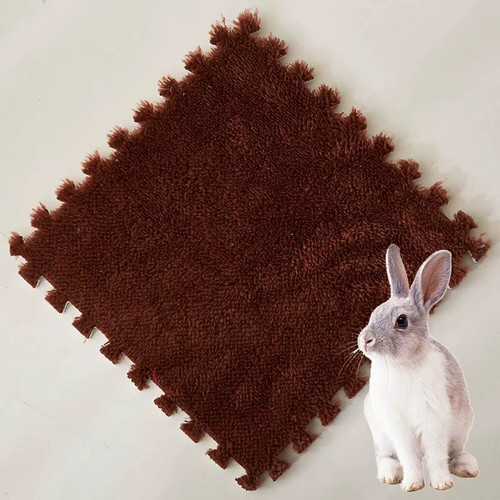Eva foam pet - eva,