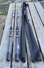 2 RON THOMPSON EVP2  SOLID