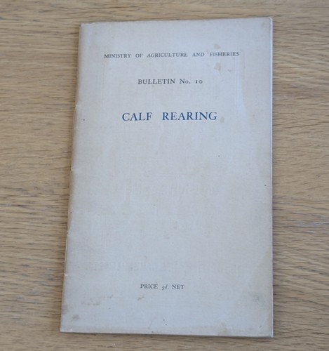 Very rare calf rearing - very,