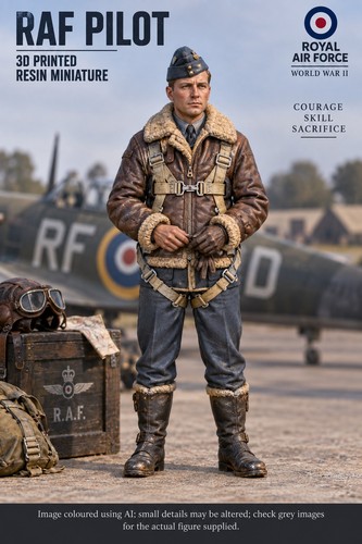 Ww2 british raf pilot in - 1:35,