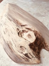 Oak spalted Slab Live Waney