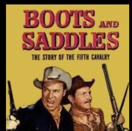 Boots and saddles - saddles,