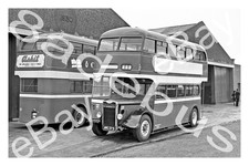 Bus photograph alexander fife - bus,