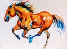 Aceo  Horse Running
