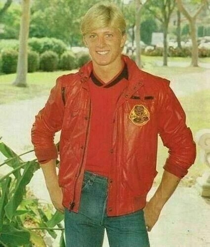Cobra kai karate kid - cobra,