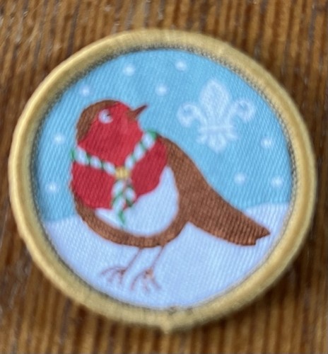 Scout association 2015 - scout,