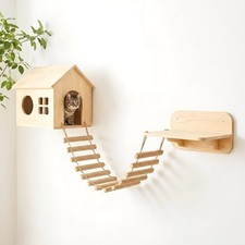 Cat climbing ladder - cat,