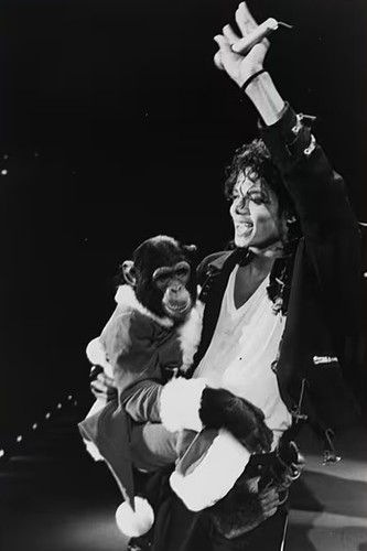 Michael jackson american - jackson,,