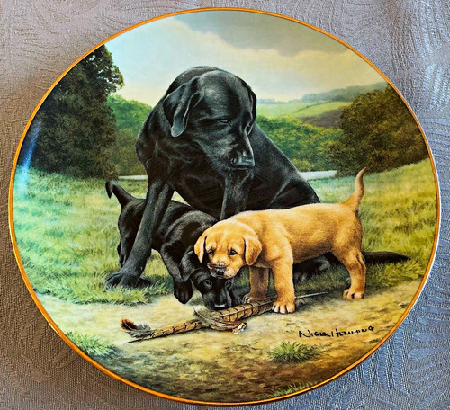 Franklin mint labrador plate - mint,