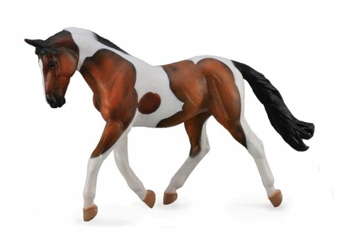 Pinto skewbald bay mare - skewbald,