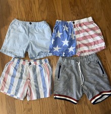 Chubbies Shorts Mens Small
