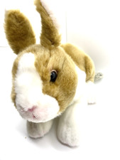 Trophee Holland Rabbit 10"