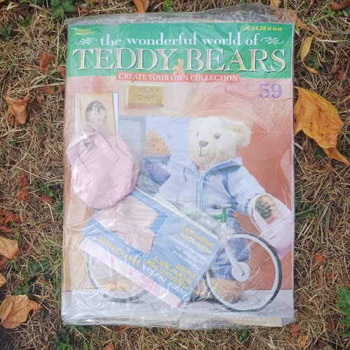 The wonderful world teddy - wonderful,