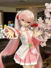 NEW Volks Dollfie Dream DD