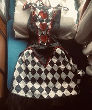 Jester/Clown Halloween Costume