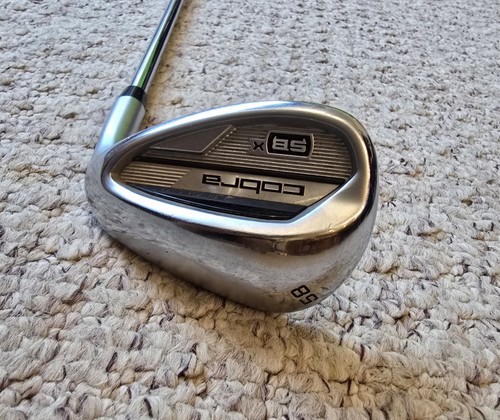 Cobra snakebite degree - snakebite, 58