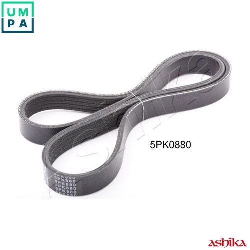Vribbed belt 112 5pk880 - vribbed,