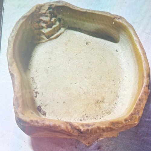 Pet water bowl - water,