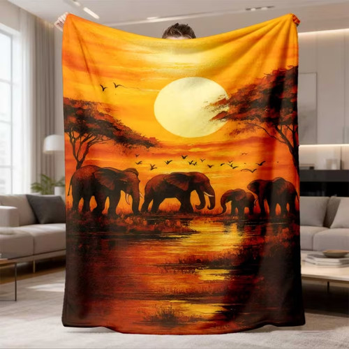 Elephant family sunset - elephant,