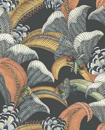 Cole son hoopoe leaves - cole,