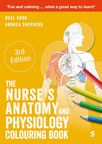 The nurse anatomy and - the,