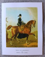 Side Saddle, Hints To Amazones