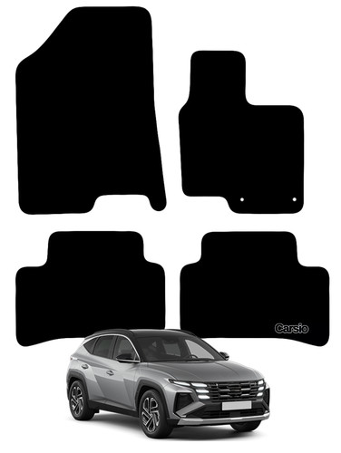 Carsio tailored carpet car - carpet,